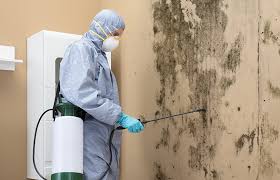 Best Air Quality Testing for Mold Spores  in Chesterfield, MO